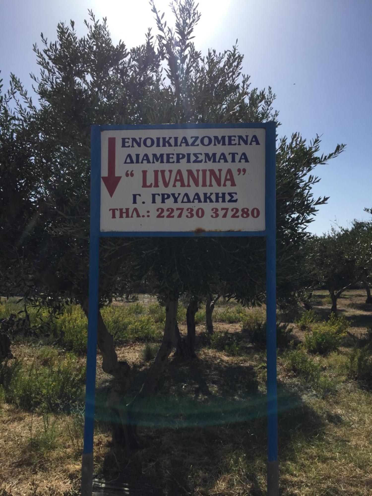 Livanina Apartments Kampos Marathokampou Dış mekan fotoğraf