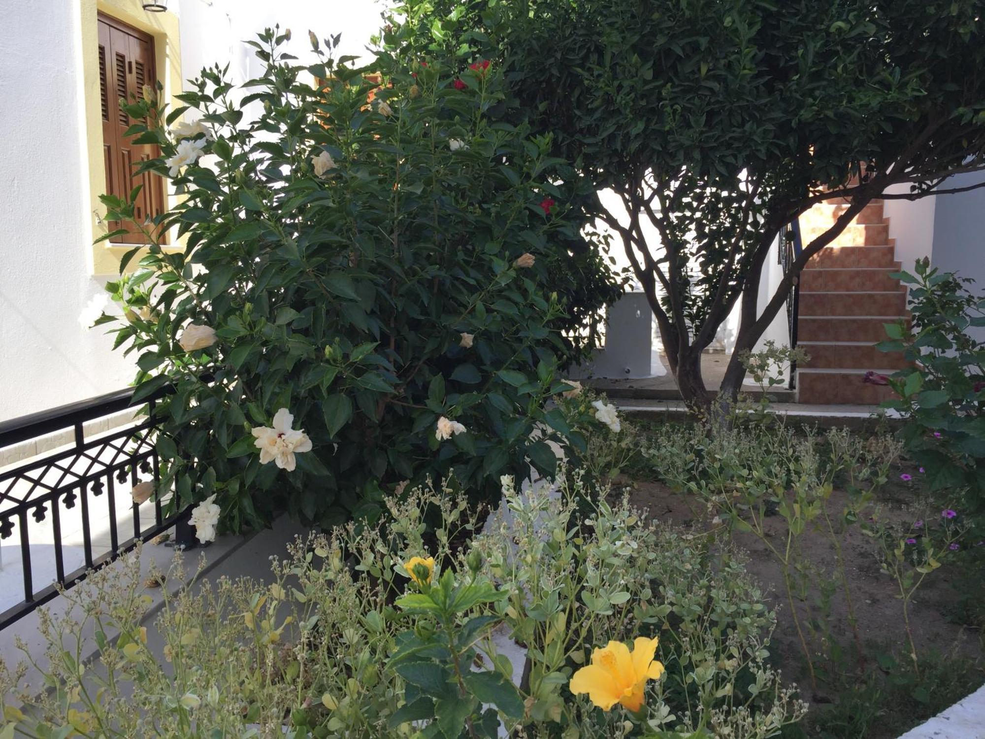 Livanina Apartments Kampos Marathokampou Dış mekan fotoğraf